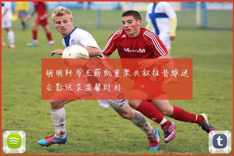 胡明轩与王薪凯重聚共叙往昔球迷合影记录温馨时刻