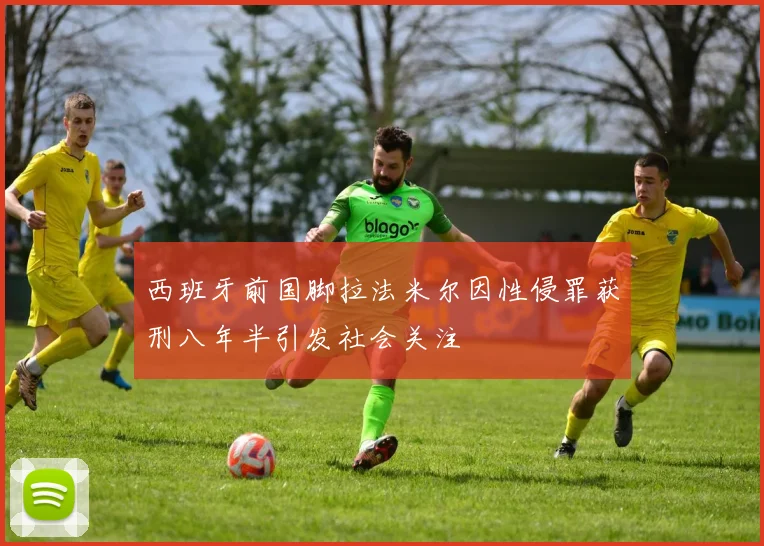 西班牙前国脚拉法米尔因性侵罪获刑八年半引发社会关注
