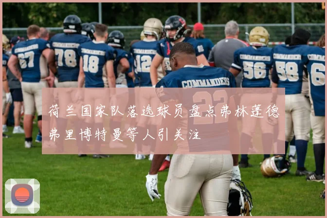 荷兰国家队落选球员盘点弗林蓬德弗里博特曼等人引关注