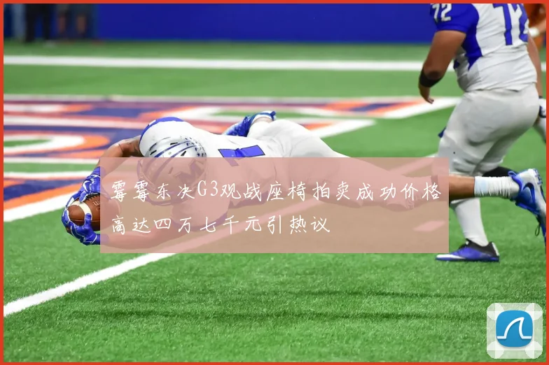 霉霉东决G3观战座椅拍卖成功价格高达四万七千元引热议